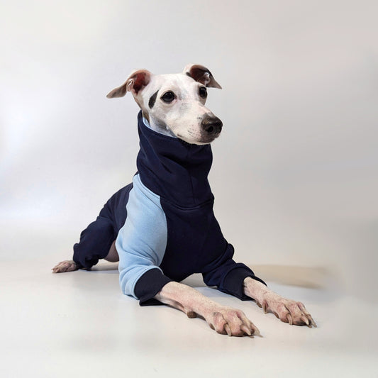 Whippet | Jumpsuit - Loco Blue