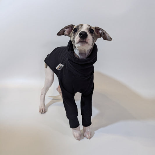 Whippet | Sweater - Raptor Black