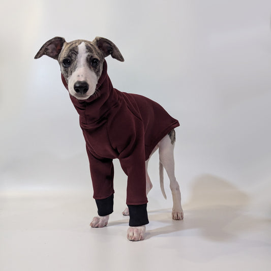 Whippet | Sweater - Raptor Red