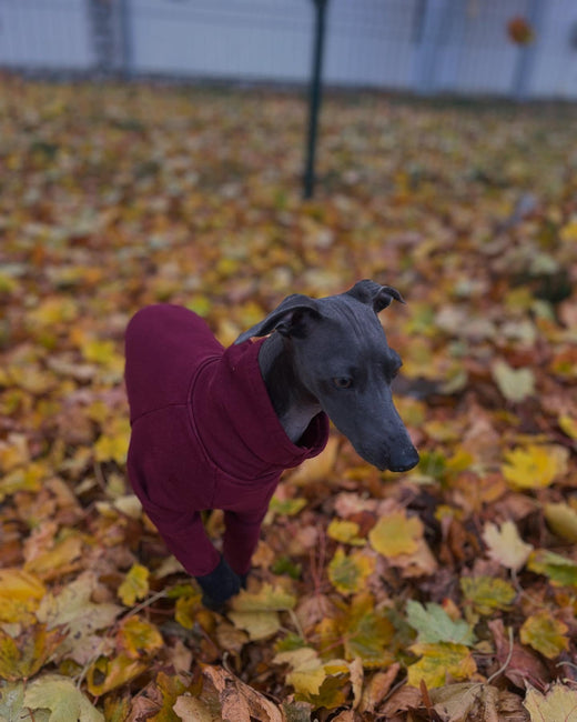 Felfedezni szeretek de fázni nem, hound_theory ruháiban ezt kényelmesen és biztonságosan megtehetem! – Hound Theory on Instagram