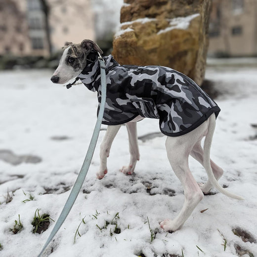 Major Praga reporting to duty I am blending in, ready to catch the target – Hound Theory on Instagram