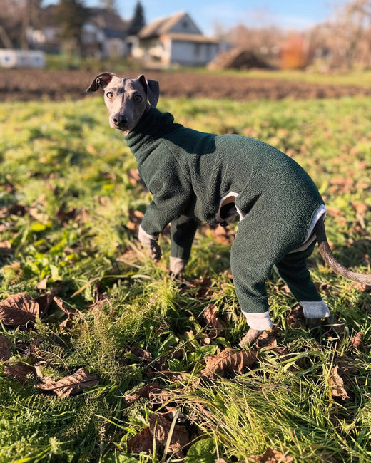 Egy újabb reggeli kaland zöld ruhámba hound_theory Használd ARISZ10 kódot! – Hound Theory on Instagram
