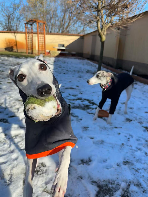 Its snowing a lot these days but that hasnt stopped us to go play Our outfits are from hound_theory – Hound Theory on Instagram
