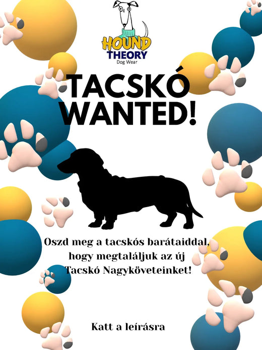 Oszd meg Tacskós barátaiddal, hogy esélyt kapjanak Hound Theory Nagykövetként képviselni minket! – Hound Theory on Instagram