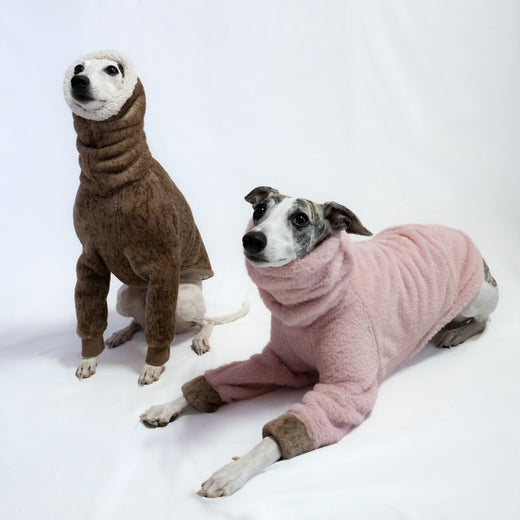 The wait is over, our Winter Collection has officially landed! – Hound Theory on Instagram