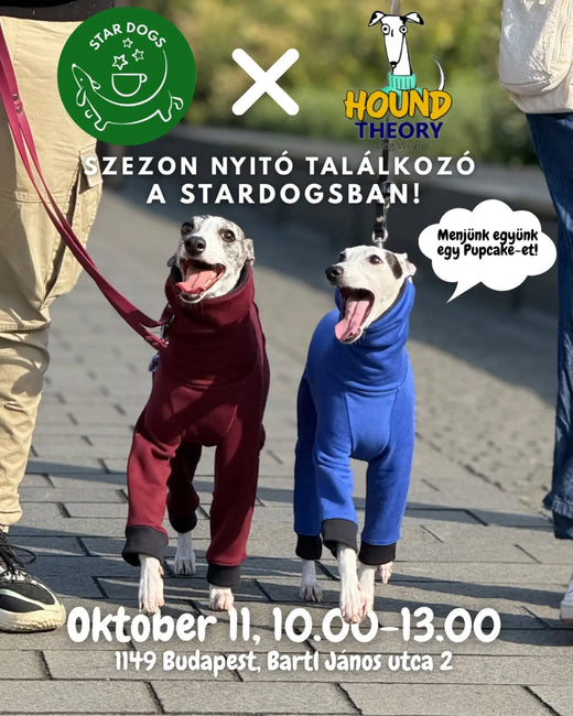 Szezonnyitó találkozó a Stardogs kávézóban! – Hound Theory on Instagram