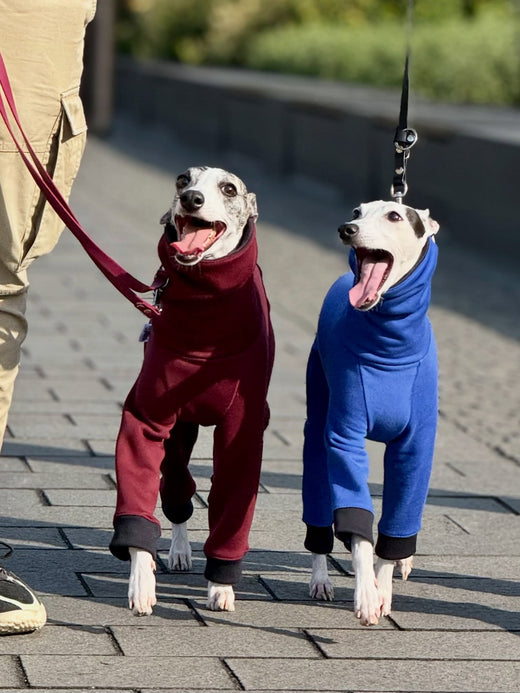 Smiles for the runaway with our outfits hound_theory Use our promo code: KONGOPRAGA10 – Hound Theory on Instagram