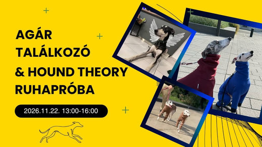 November 22-én újra Agár Találkozóval egybekötött Hound Theory ruhapróba lesz nálunk! – Hound Theory on Instagram