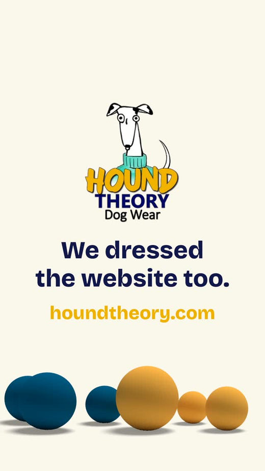 Our new website is live Made for sighthounds, like our clothes. – Hound Theory on Instagram