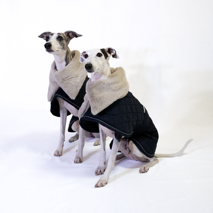 Italian Greyhound & Whippet elegant coat, navy blue – dog clothing | Kis olasz agár & whippet elegáns kabát, sötétkék – kutyaruha | Hound Theory