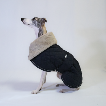 Italian Greyhound & Whippet elegant coat, navy blue – dog clothing | Kis olasz agár & whippet elegáns kabát, sötétkék – kutyaruha | Hound Theory