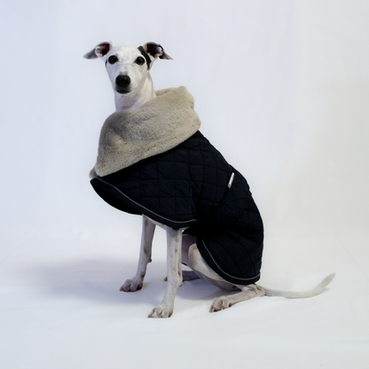 Italian Greyhound & Whippet elegant coat, navy blue – dog clothing | Kis olasz agár & whippet elegáns kabát, sötétkék – kutyaruha | Hound Theory