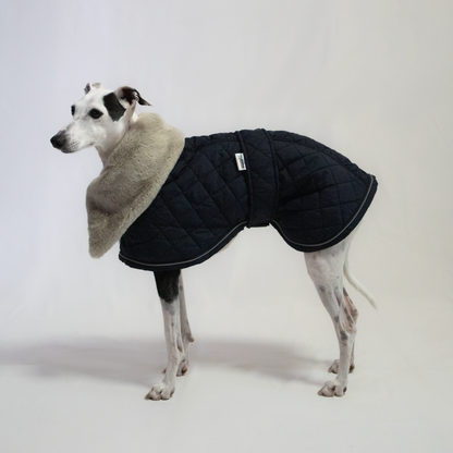 Italian Greyhound & Whippet elegant coat, navy blue – dog clothing | Kis olasz agár & whippet elegáns kabát, sötétkék – kutyaruha | Hound Theory