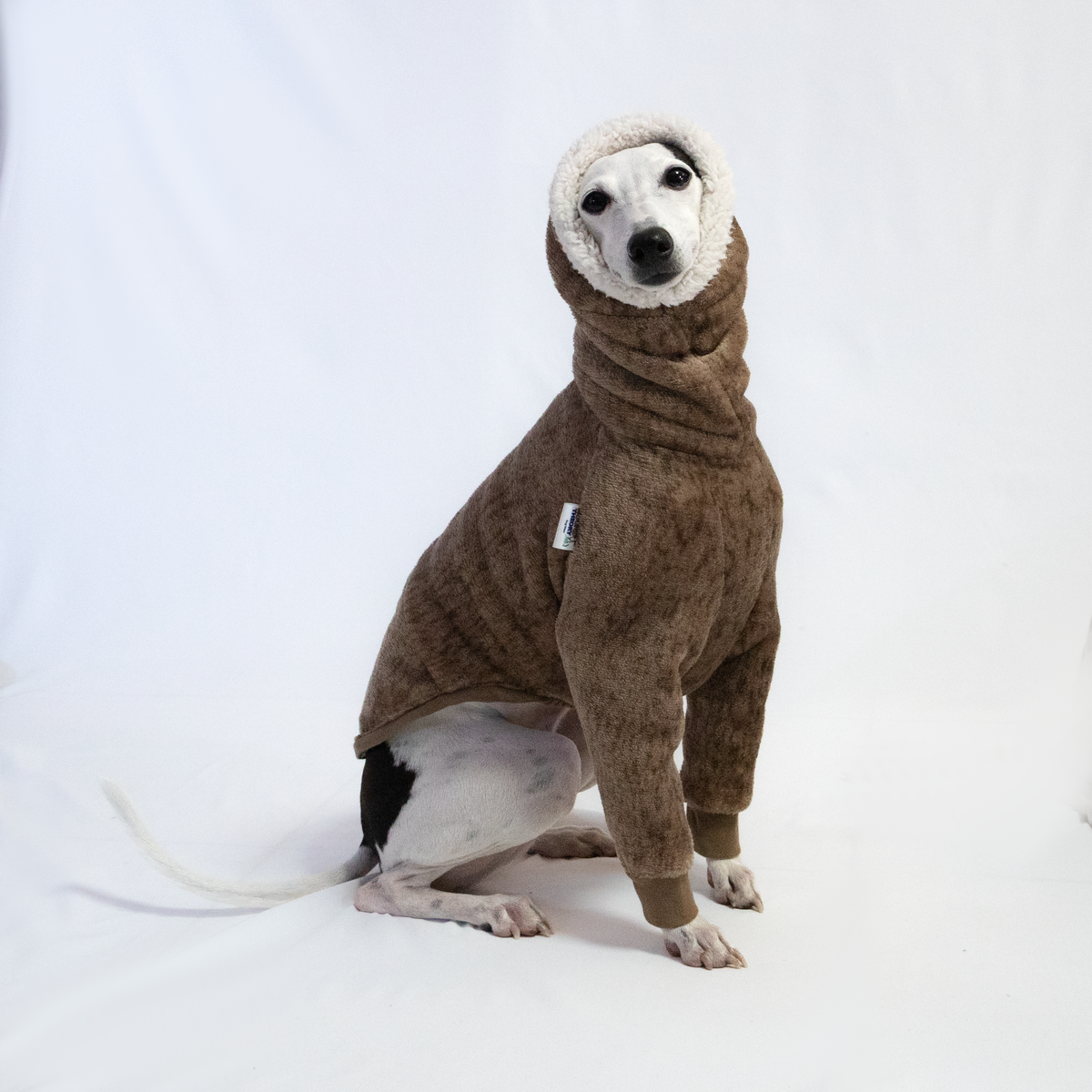 Italian Greyhound & Whippet Eskimo sherpa sweater, brown – dog clothing | Kis olasz agár & whippet Eskimo sherpa pulóver, barna – kutyaruha | Hound Theory