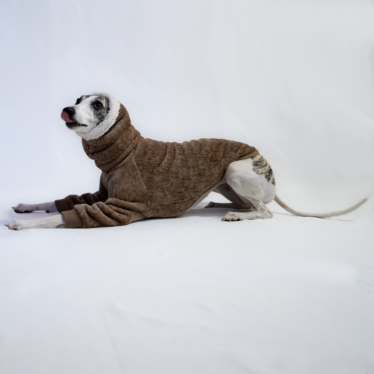 Italian Greyhound & Whippet Eskimo sherpa sweater, brown – dog clothing | Kis olasz agár & whippet Eskimo sherpa pulóver, barna – kutyaruha | Hound Theory