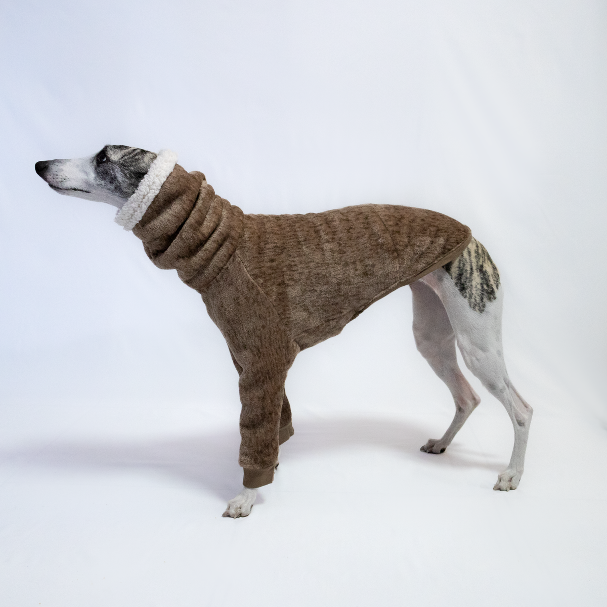 Italian Greyhound & Whippet Eskimo sherpa sweater, brown – dog clothing | Kis olasz agár & whippet Eskimo sherpa pulóver, barna – kutyaruha | Hound Theory