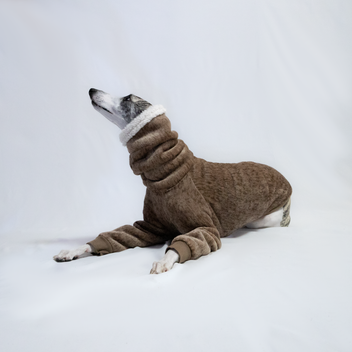 Italian Greyhound & Whippet Eskimo sherpa sweater, brown – dog clothing | Kis olasz agár & whippet Eskimo sherpa pulóver, barna – kutyaruha | Hound Theory