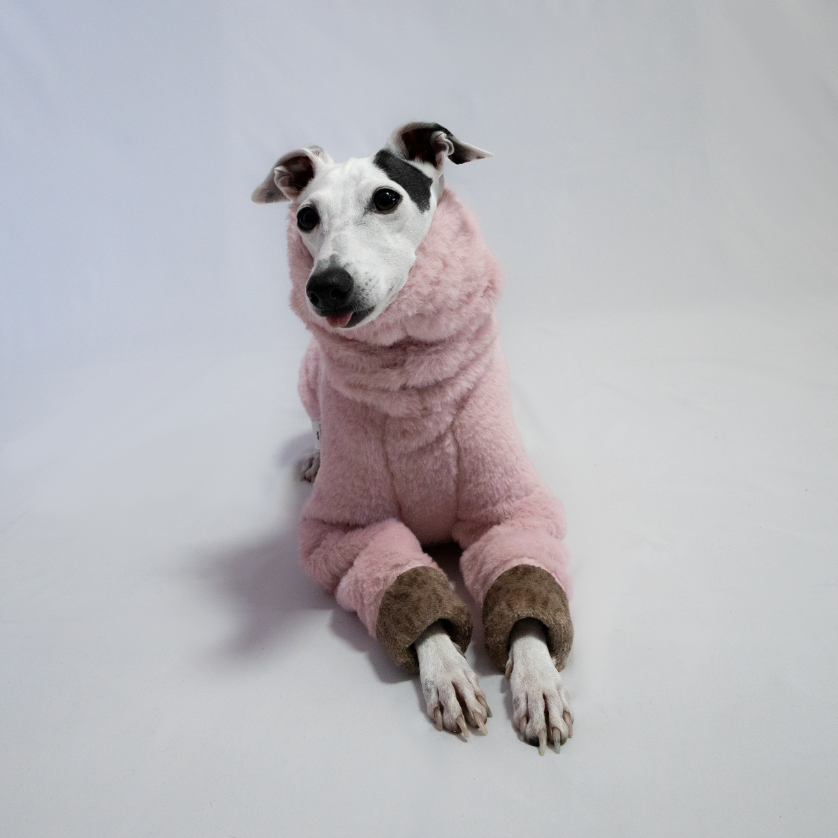 Italian Greyhound & Whippet Eskimo sherpa sweater, pink – dog clothing | Kis olasz agár & whippet Eskimo sherpa pulóver, rózsaszín – kutyaruha | Hound Theory