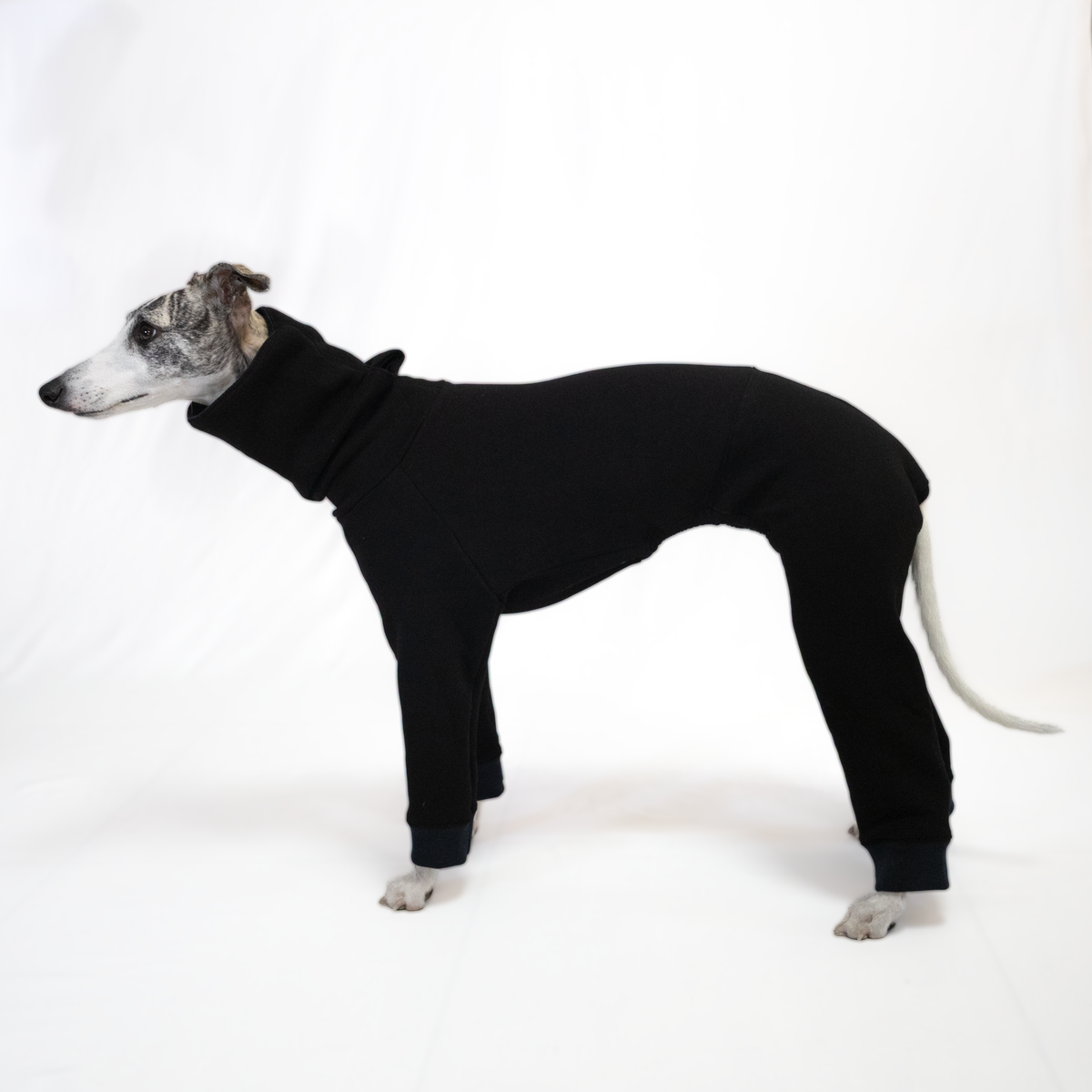 Italian Greyhound & Whippet jumpsuit, black – dog clothing | Kis olasz agár & whippet kezeslábas, fekete – kutyaruha | Hound Theory