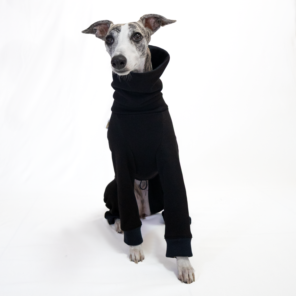 Italian Greyhound & Whippet jumpsuit, black – dog clothing | Kis olasz agár & whippet kezeslábas, fekete – kutyaruha | Hound Theory