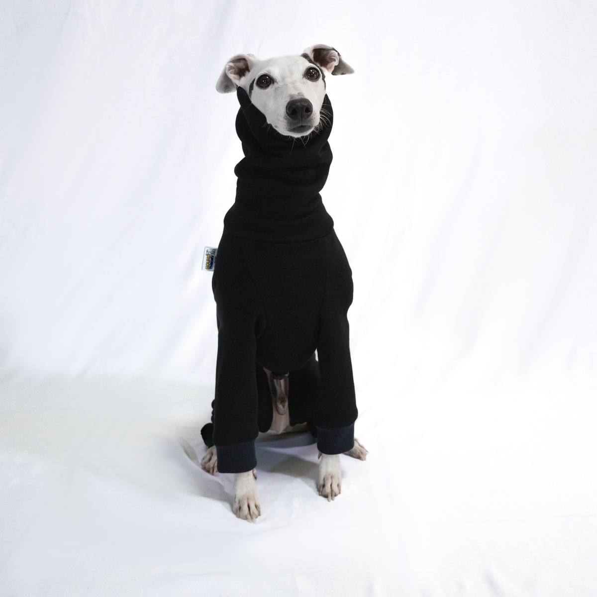 Italian Greyhound & Whippet jumpsuit, black – dog clothing | Kis olasz agár & whippet kezeslábas, fekete – kutyaruha | Hound Theory