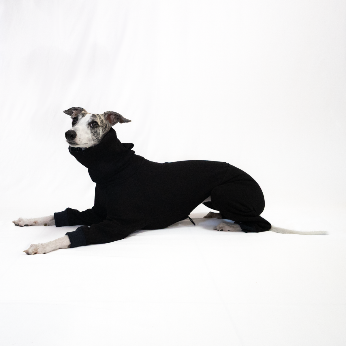 Italian Greyhound & Whippet jumpsuit, black – dog clothing | Kis olasz agár & whippet kezeslábas, fekete – kutyaruha | Hound Theory