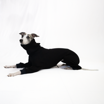Italian Greyhound & Whippet jumpsuit, black – dog clothing | Kis olasz agár & whippet kezeslábas, fekete – kutyaruha | Hound Theory