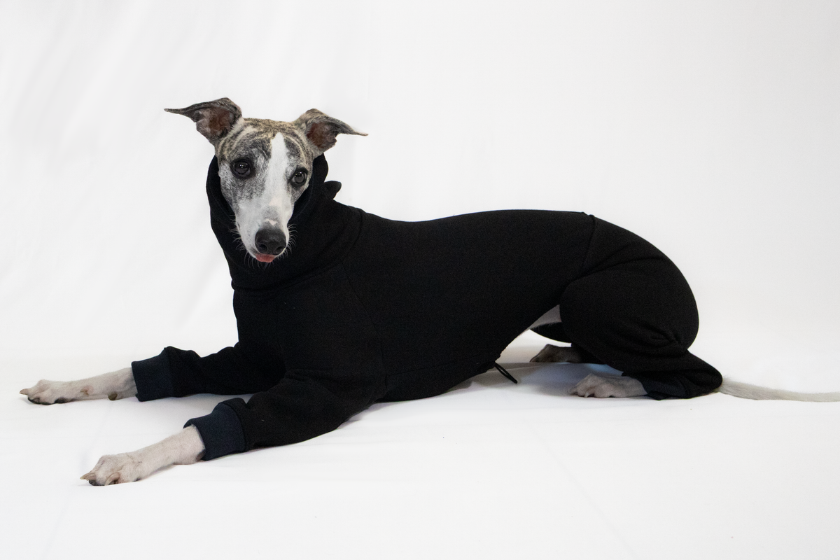 Italian Greyhound & Whippet jumpsuit, black – dog clothing | Kis olasz agár & whippet kezeslábas, fekete – kutyaruha | Hound Theory