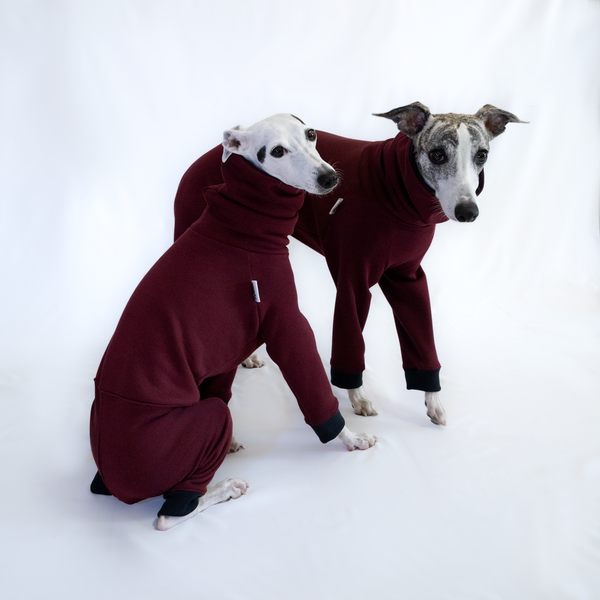 Italian Greyhound & Whippet jumpsuit, burgundy – dog clothing | Kis olasz agár & whippet kezeslábas, bordó – kutyaruha | Hound Theory