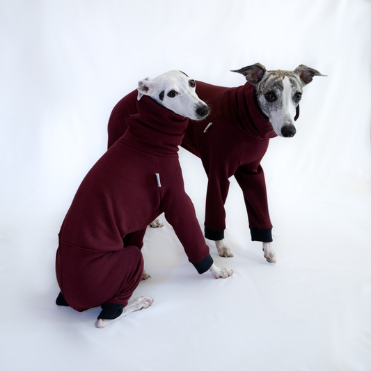 Italian Greyhound & Whippet jumpsuit, burgundy – dog clothing | Kis olasz agár & whippet kezeslábas, bordó – kutyaruha | Hound Theory