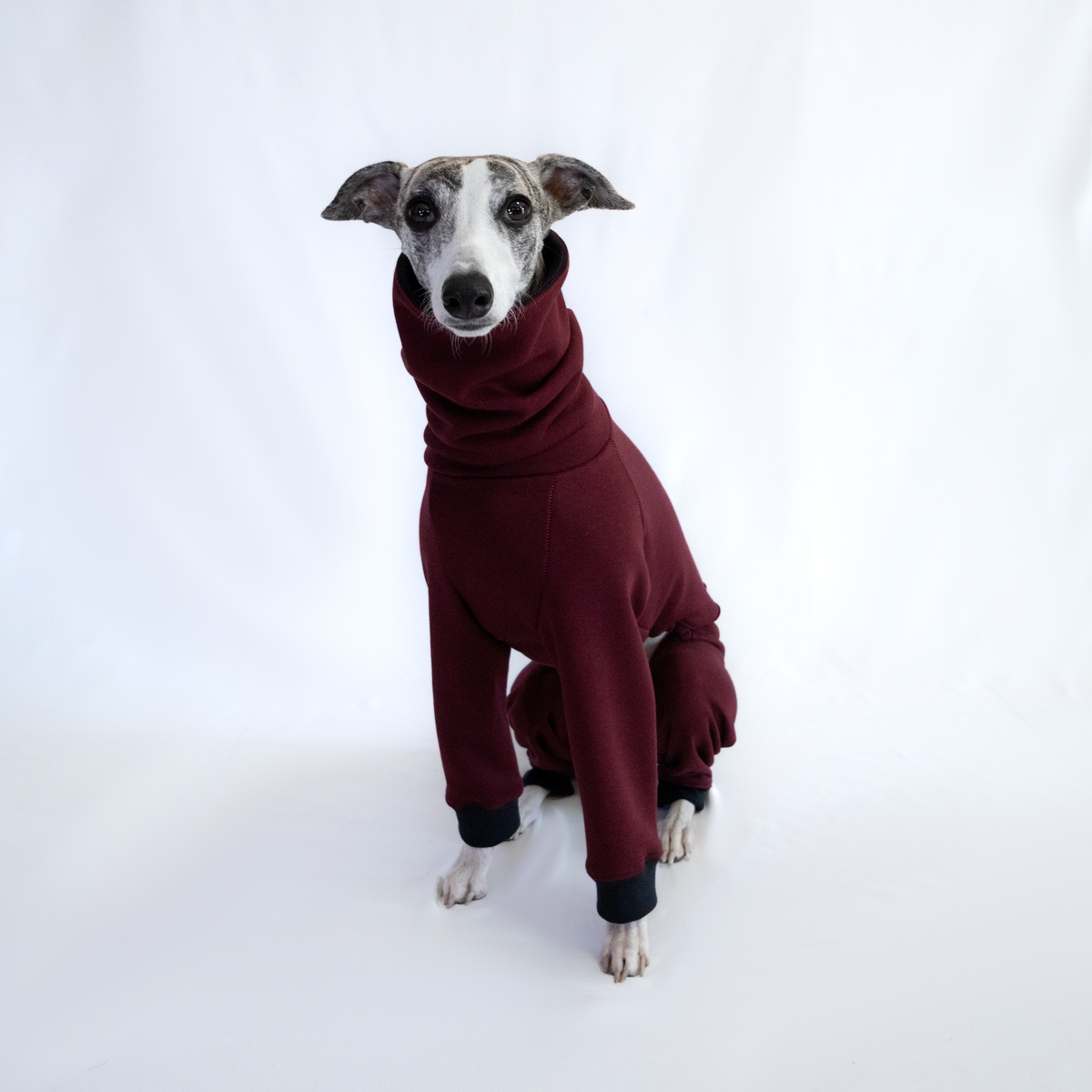 Italian Greyhound & Whippet jumpsuit, burgundy – dog clothing | Kis olasz agár & whippet kezeslábas, bordó – kutyaruha | Hound Theory