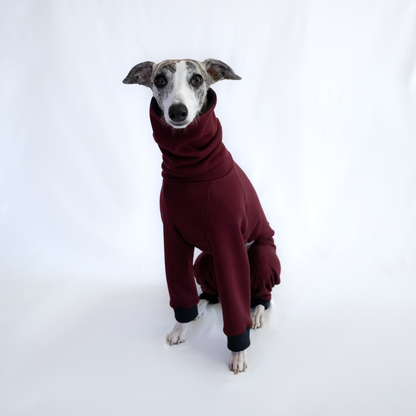 Italian Greyhound & Whippet jumpsuit, burgundy – dog clothing | Kis olasz agár & whippet kezeslábas, bordó – kutyaruha | Hound Theory