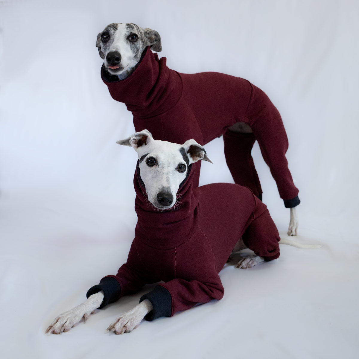 Italian Greyhound & Whippet jumpsuit, burgundy – dog clothing | Kis olasz agár & whippet kezeslábas, bordó – kutyaruha | Hound Theory