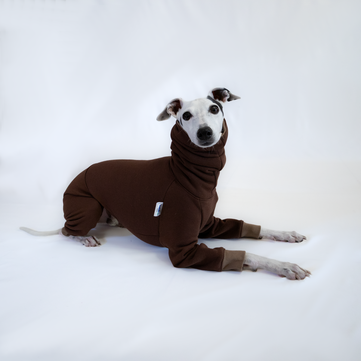 Italian Greyhound & Whippet jumpsuit, chocolate brown – dog clothing | Kis olasz agár & whippet kezeslábas, csokoládébarna – kutyaruha | Hound Theory