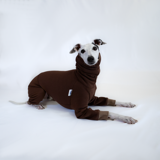 Italian Greyhound & Whippet jumpsuit, chocolate brown – dog clothing | Kis olasz agár & whippet kezeslábas, csokoládébarna – kutyaruha | Hound Theory