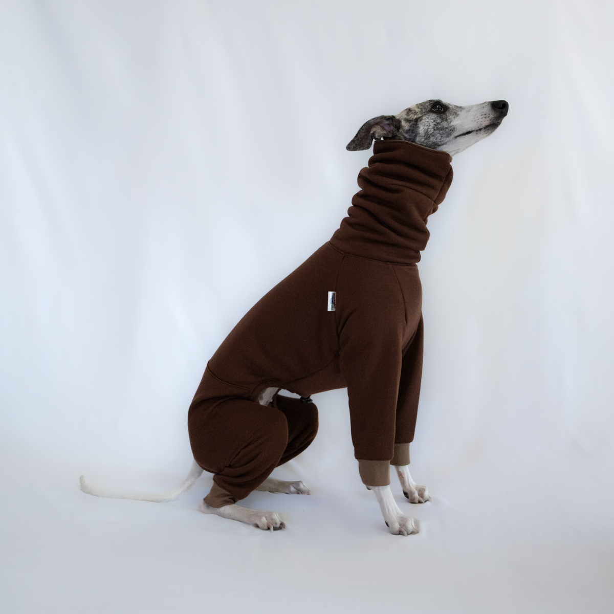 Italian Greyhound & Whippet jumpsuit, chocolate brown – dog clothing | Kis olasz agár & whippet kezeslábas, csokoládébarna – kutyaruha | Hound Theory