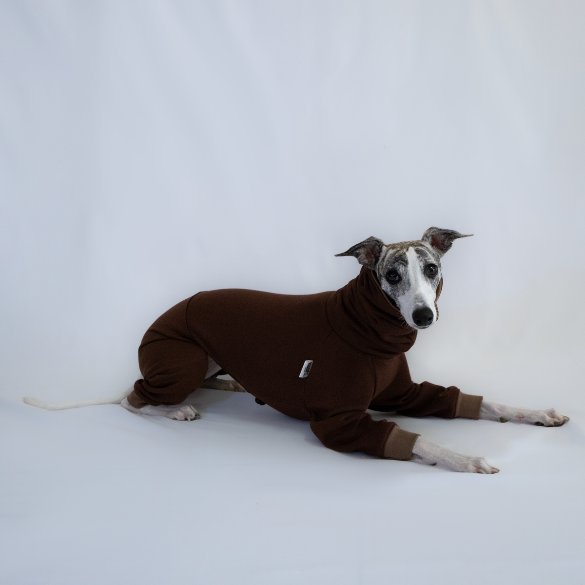 Italian Greyhound & Whippet jumpsuit, chocolate brown – dog clothing | Kis olasz agár & whippet kezeslábas, csokoládébarna – kutyaruha | Hound Theory