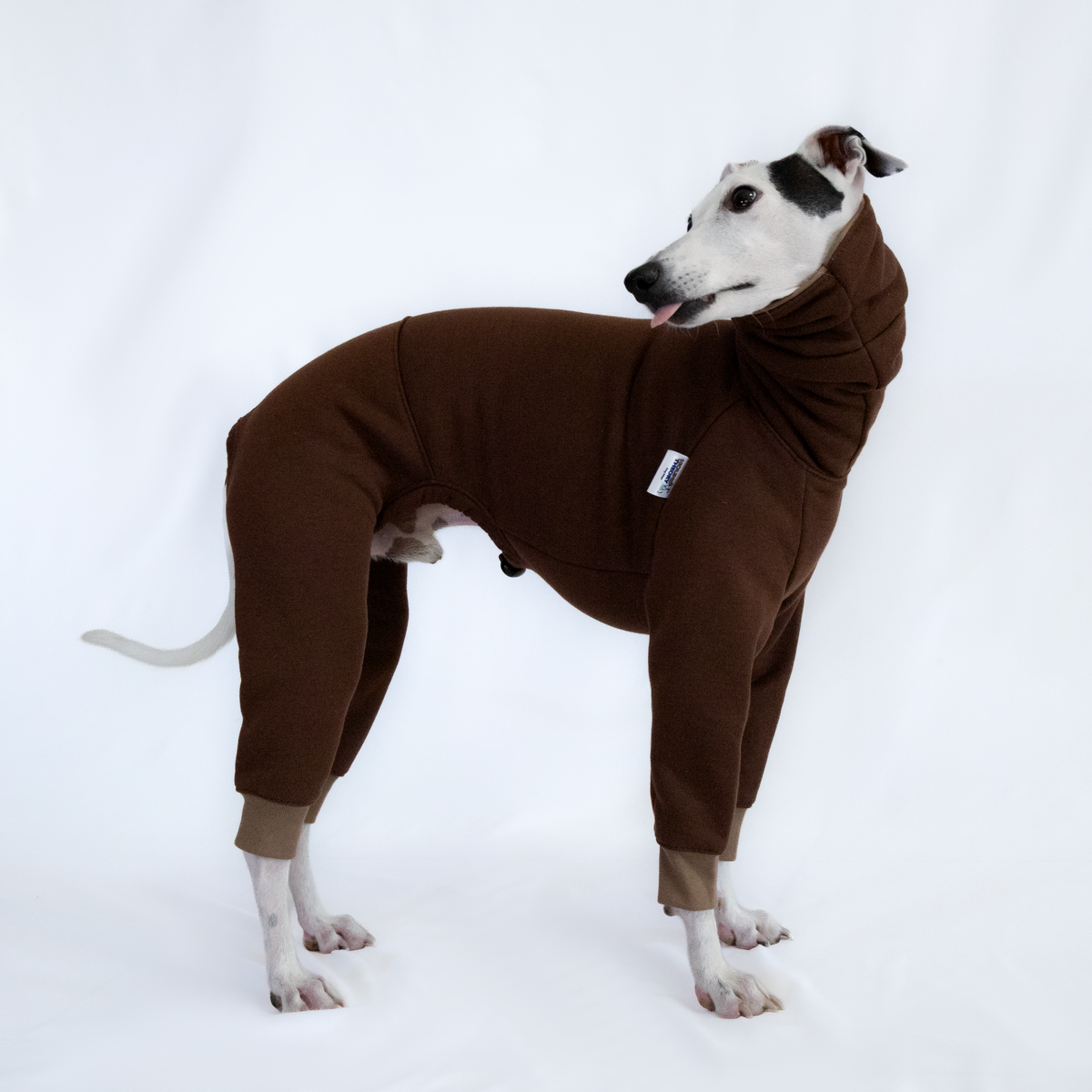 Italian Greyhound & Whippet jumpsuit, chocolate brown – dog clothing | Kis olasz agár & whippet kezeslábas, csokoládébarna – kutyaruha | Hound Theory