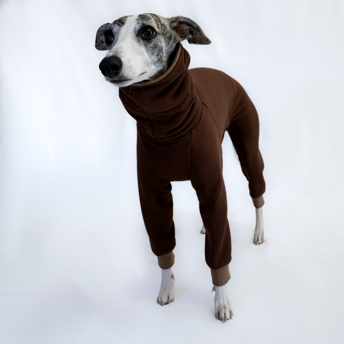 Italian Greyhound & Whippet jumpsuit, chocolate brown – dog clothing | Kis olasz agár & whippet kezeslábas, csokoládébarna – kutyaruha | Hound Theory
