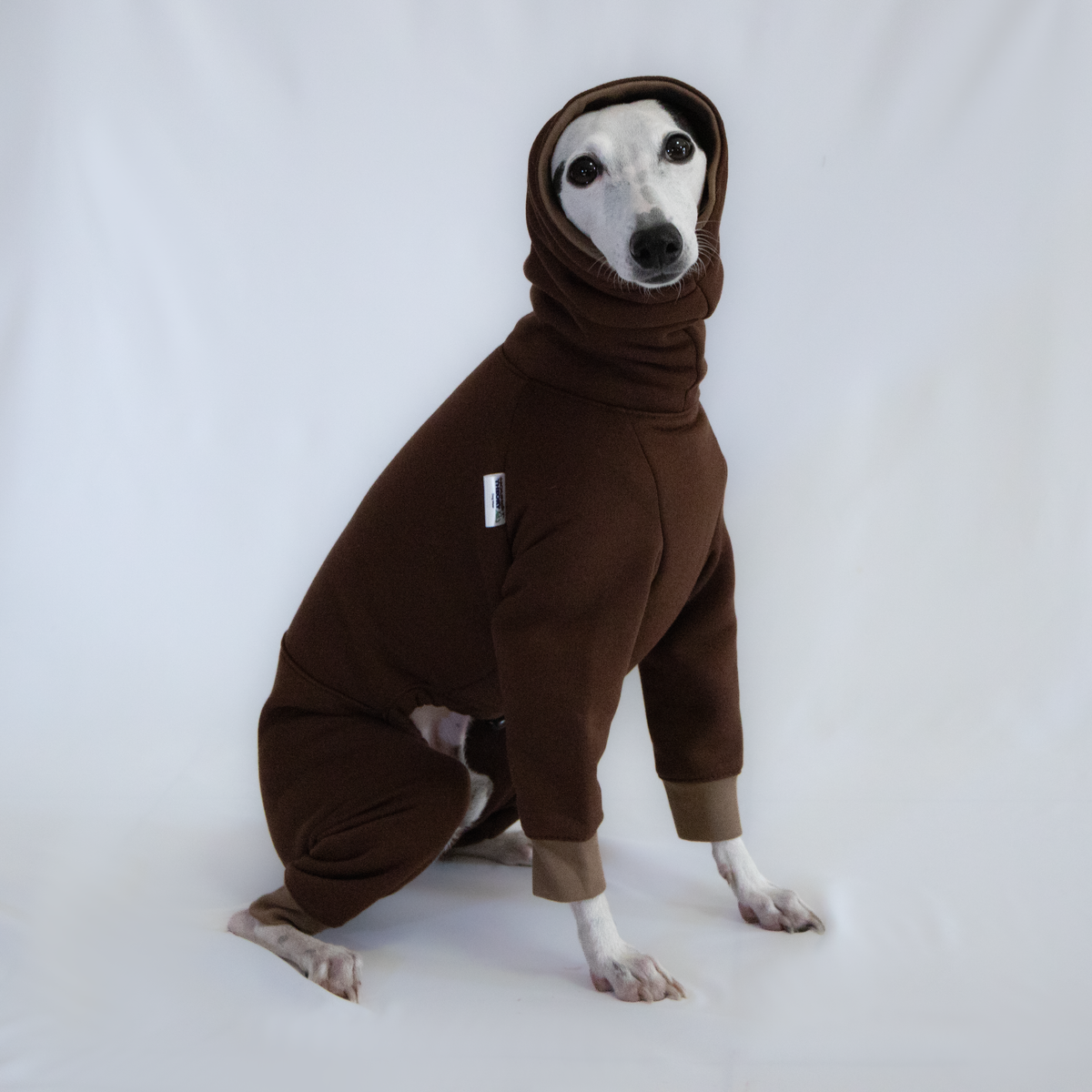Italian Greyhound & Whippet jumpsuit, chocolate brown – dog clothing | Kis olasz agár & whippet kezeslábas, csokoládébarna – kutyaruha | Hound Theory