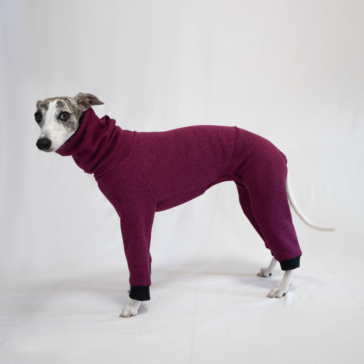 Italian Greyhound & Whippet jumpsuit, plum – dog clothing | Kis olasz agár & whippet kezeslábas, szőlőlila – kutyaruha | Hound Theory