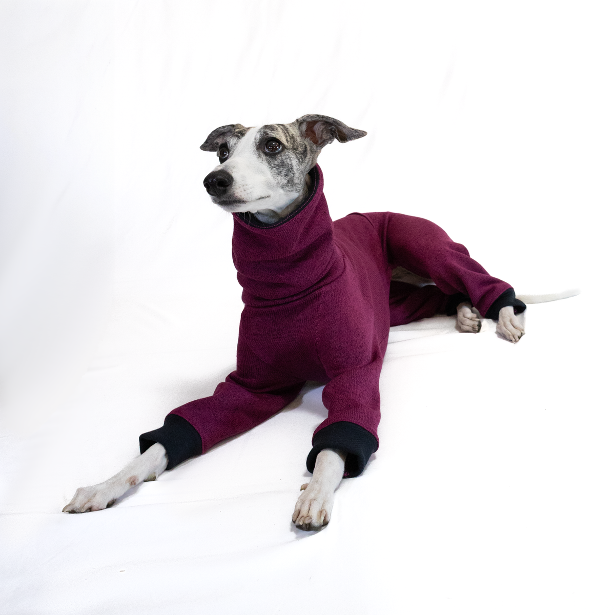 Italian Greyhound & Whippet jumpsuit, plum – dog clothing | Kis olasz agár & whippet kezeslábas, szőlőlila – kutyaruha | Hound Theory