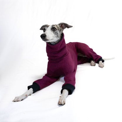 Italian Greyhound & Whippet jumpsuit, plum – dog clothing | Kis olasz agár & whippet kezeslábas, szőlőlila – kutyaruha | Hound Theory