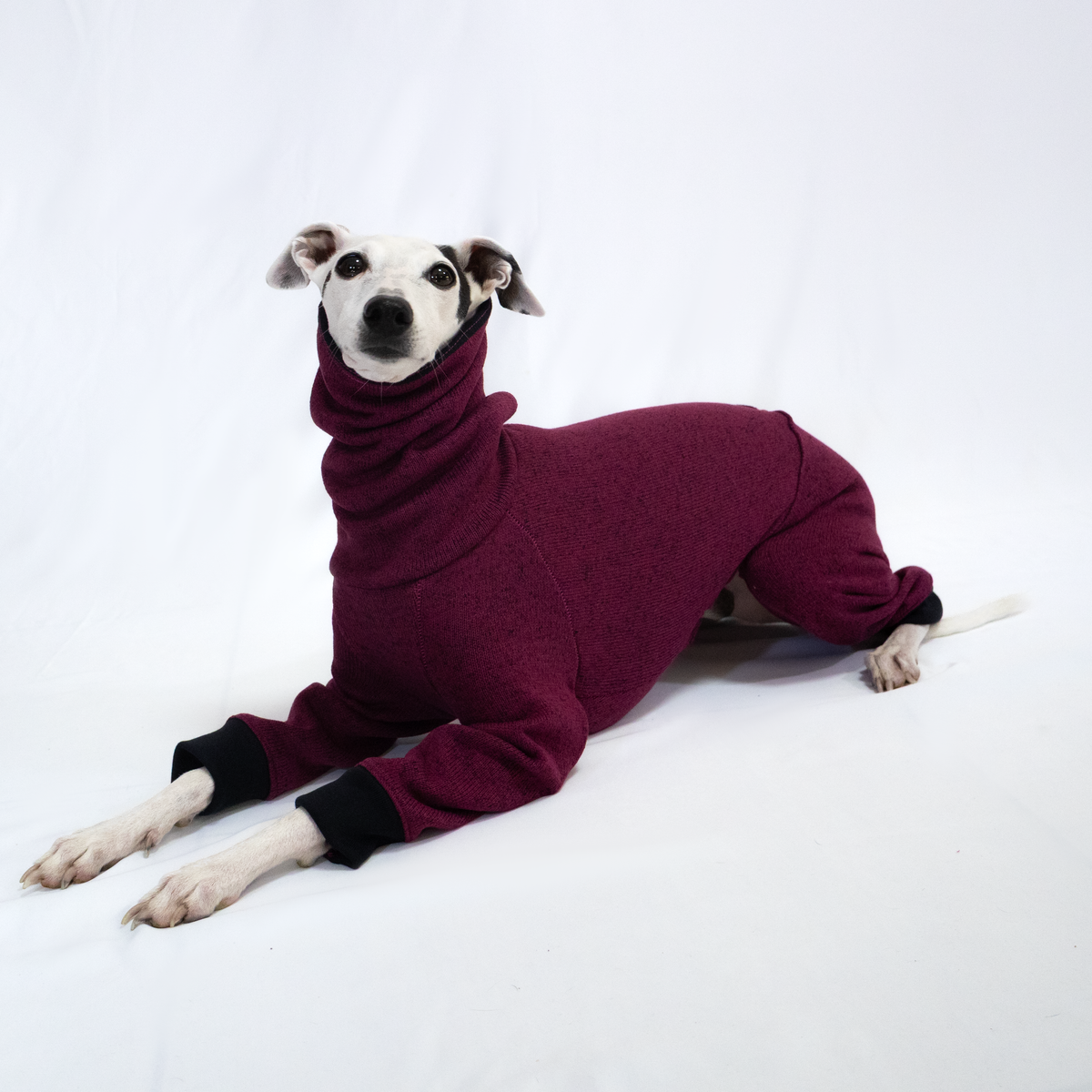 Italian Greyhound & Whippet jumpsuit, plum – dog clothing | Kis olasz agár & whippet kezeslábas, szőlőlila – kutyaruha | Hound Theory