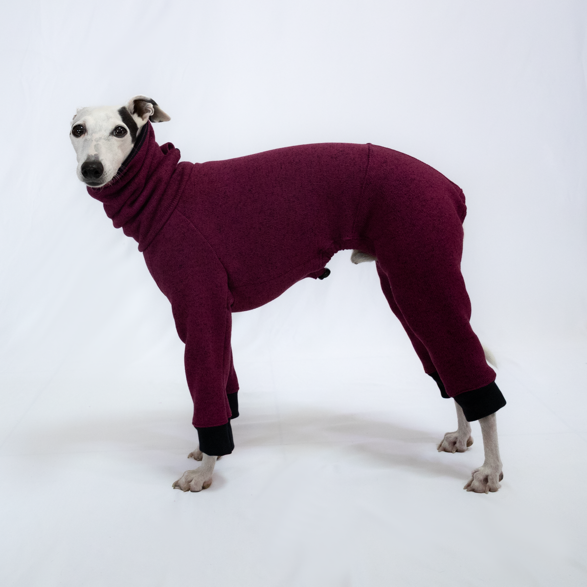 Italian Greyhound & Whippet jumpsuit, plum – dog clothing | Kis olasz agár & whippet kezeslábas, szőlőlila – kutyaruha | Hound Theory