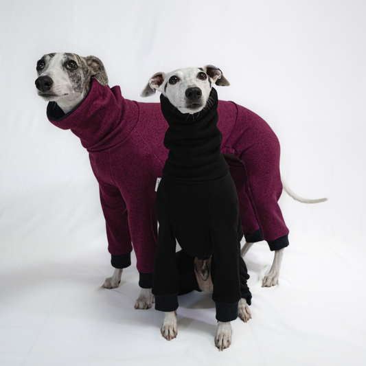 Italian Greyhound & Whippet jumpsuit, purple – dog clothing | Kis olasz agár & whippet kezeslábas, lila – kutyaruha | Hound Theory