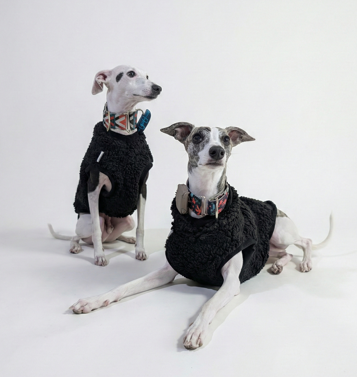 Italian Greyhound & Whippet sherpa vest, black – dog clothing | Kis olasz agár & whippet sherpa mellény, fekete – kutyaruha | Hound Theory