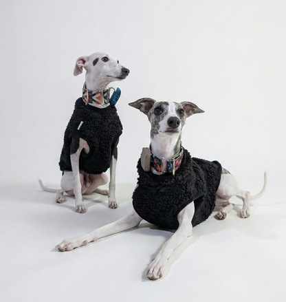 Italian Greyhound & Whippet sherpa vest, black – dog clothing | Kis olasz agár & whippet sherpa mellény, fekete – kutyaruha | Hound Theory