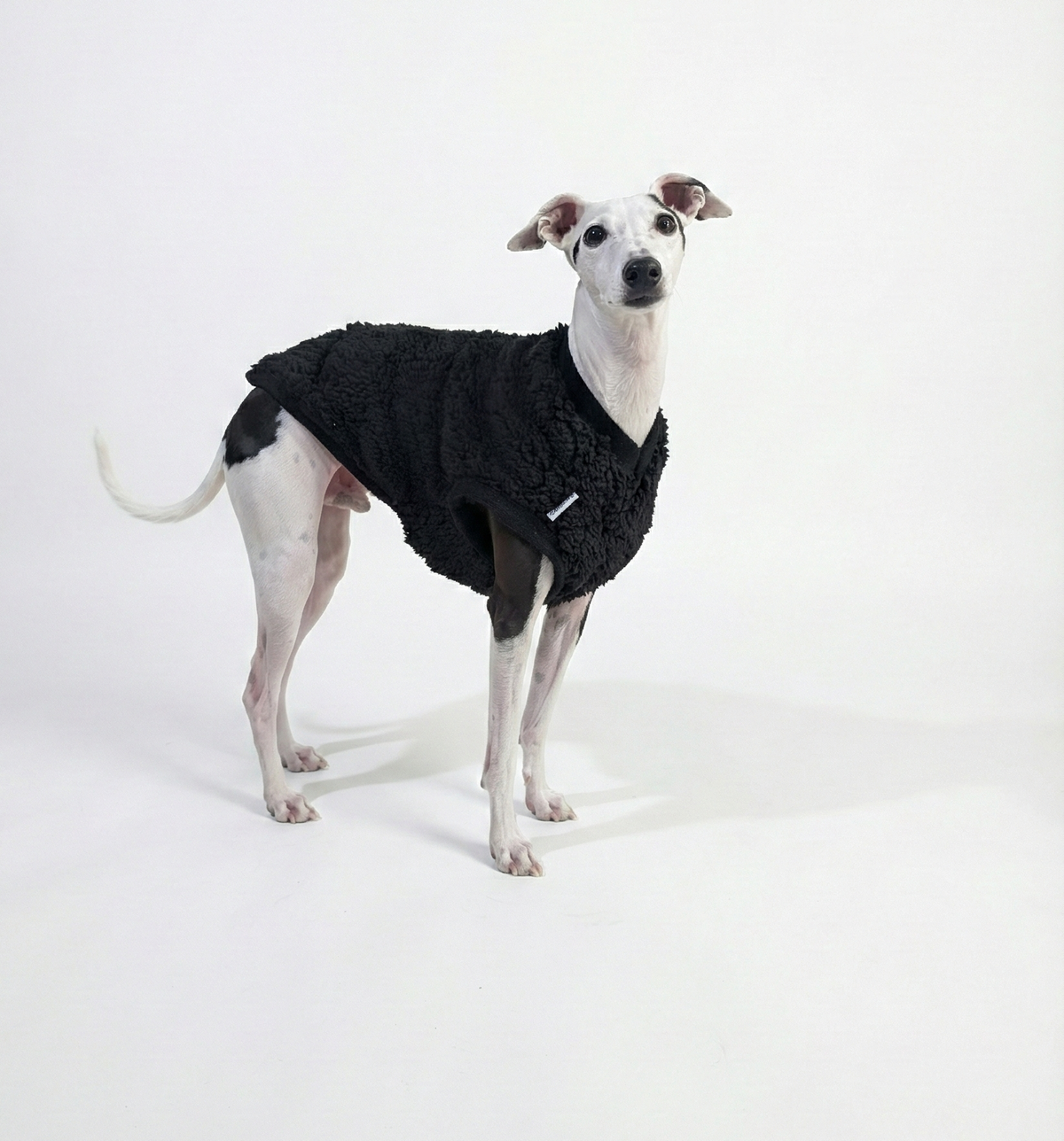 Italian Greyhound & Whippet sherpa vest – dog clothing | Kis olasz agár & whippet sherpa mellény – kutyaruha | Hound Theory