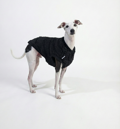 Italian Greyhound & Whippet sherpa vest – dog clothing | Kis olasz agár & whippet sherpa mellény – kutyaruha | Hound Theory